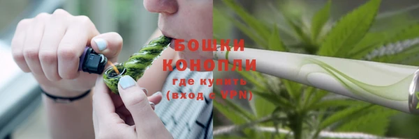 дживик Новокубанск