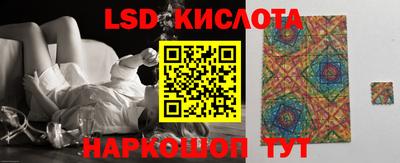 гашик Камышлов