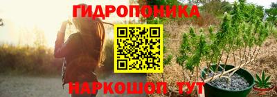 спиды Канаш