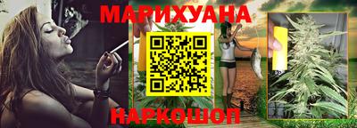 гашик Камышлов