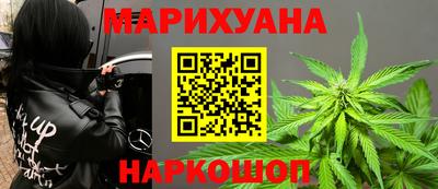 гашик Камышлов