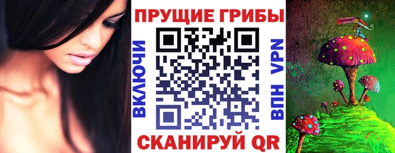 как найти   Прокопьевск  mega зеркало  Галлюциногенные грибы GOLDEN TEACHER 