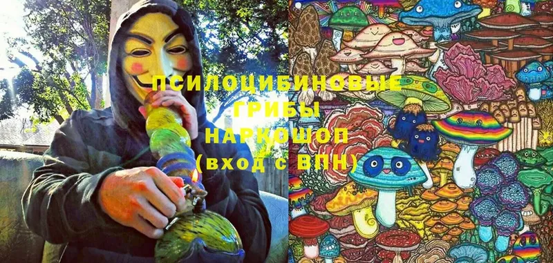 Псилоцибиновые грибы Cubensis  купить   Прокопьевск 