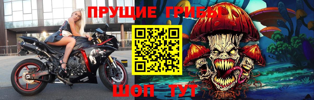 Псилоцибиновые грибы ЛСД  Вход с VPN  Псилоцибиновые грибы Magic Shrooms  Прокопьевск 