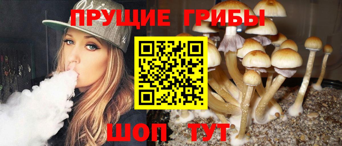 Галлюциногенные грибы ЛСД  купить  сайты  Псилоцибиновые грибы GOLDEN TEACHER  Прокопьевск 