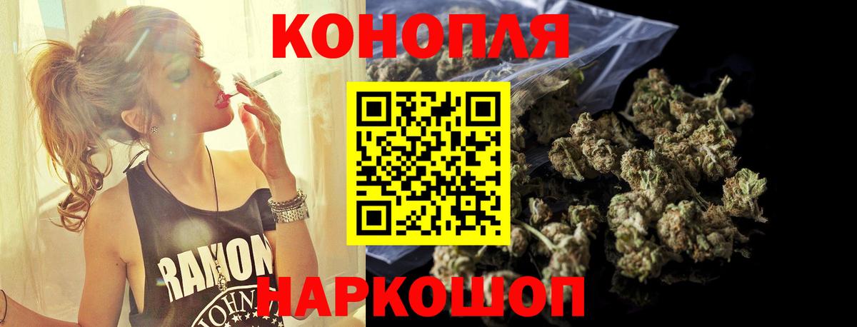 Марихуана сатива  Прокопьевск  Конопля Ganja 